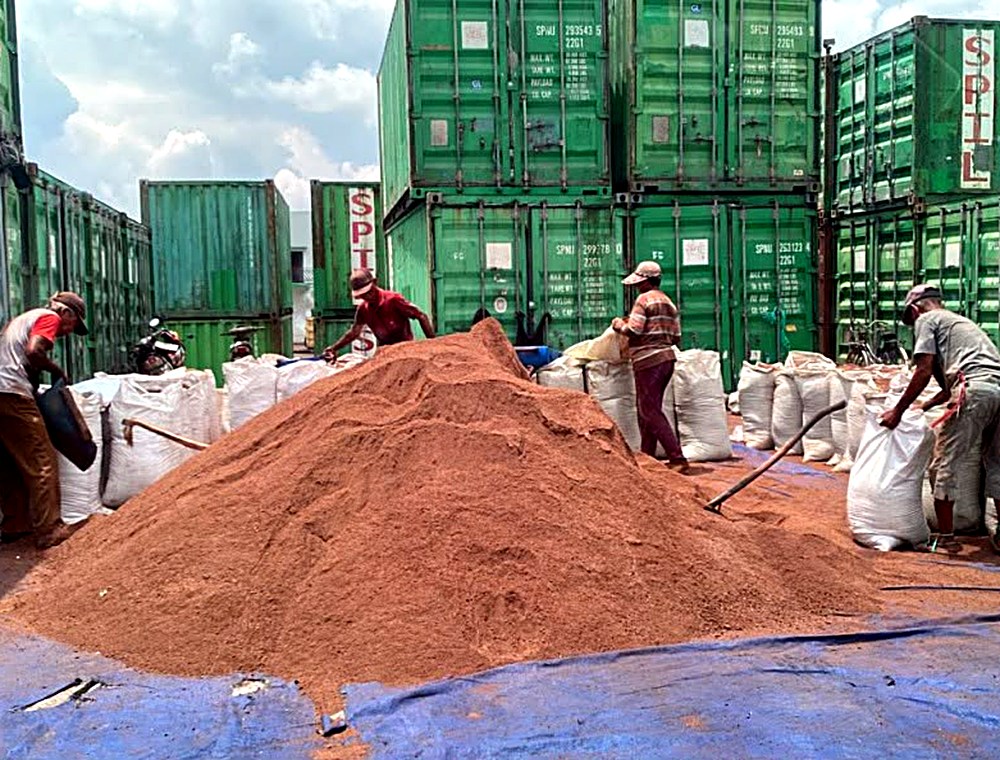 Bungkil Sawit loading kontainer